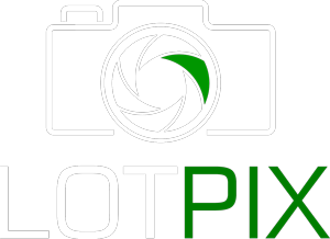 Screenshot of LotPix add-on interface for auto dealer websites, showcasing customizable photo management tools and user-friendly design.
